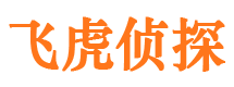 马鞍山市侦探调查公司